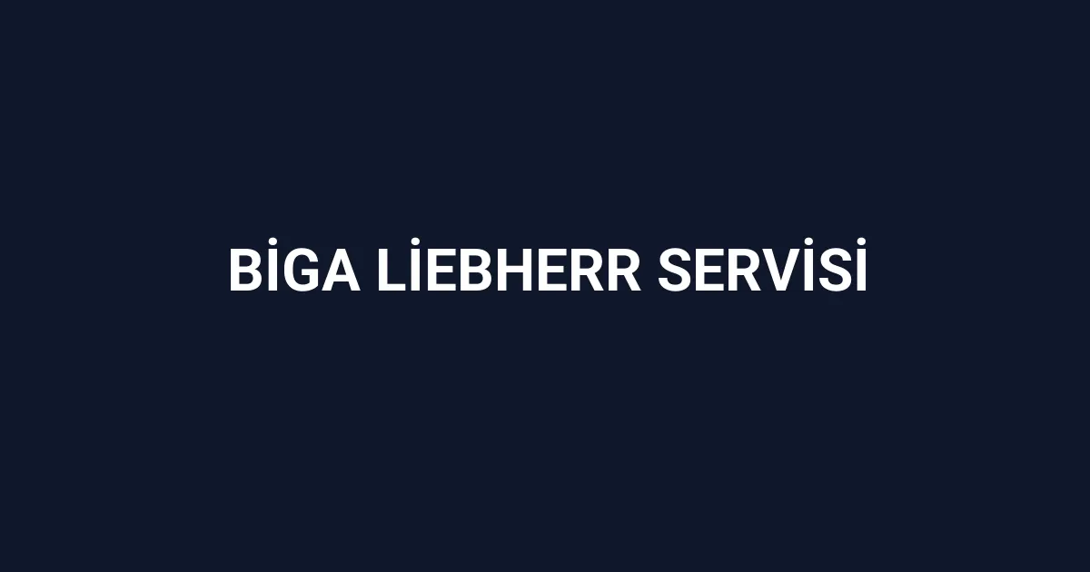 Biga Liebherr Servisi